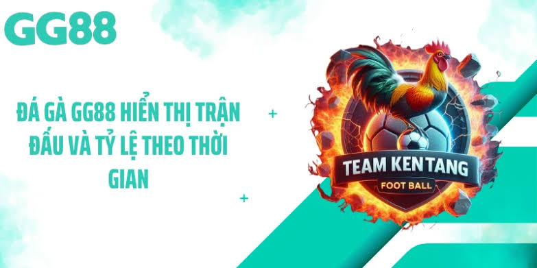 Thông tin chiến kê được cập nhật minh bạch