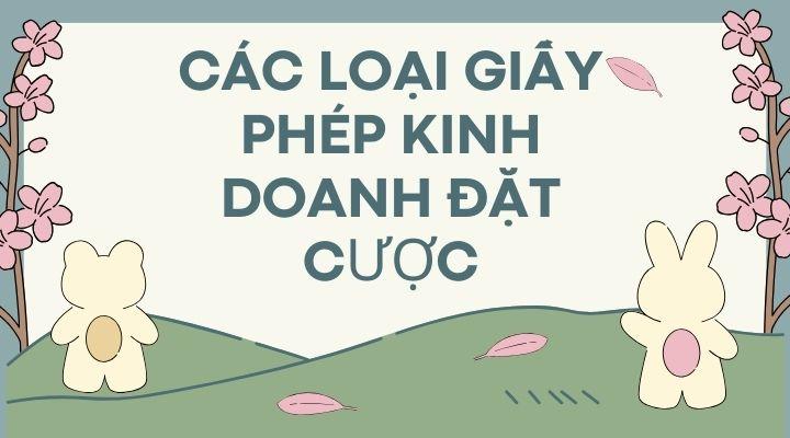 Các loại giấy phép